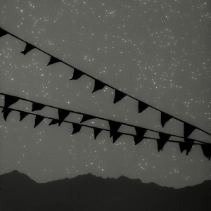 Landscape#8
