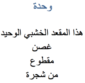 Shatha Abu Hnaish Poem